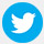 Twitter Logo