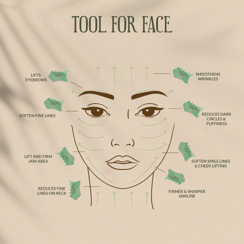 Skin Tool For Face - Ohria Ayurveda
