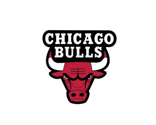 Men's Pro Standard Chicago Bulls 2 Piece Sweat Suit Set – Unleashed  Streetwear and Apparel