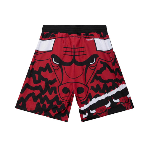 Shop Mitchell & Ness Chicago Bulls Team Nylon Shorts PSHR5404-CBUYYPPPSCAR  red