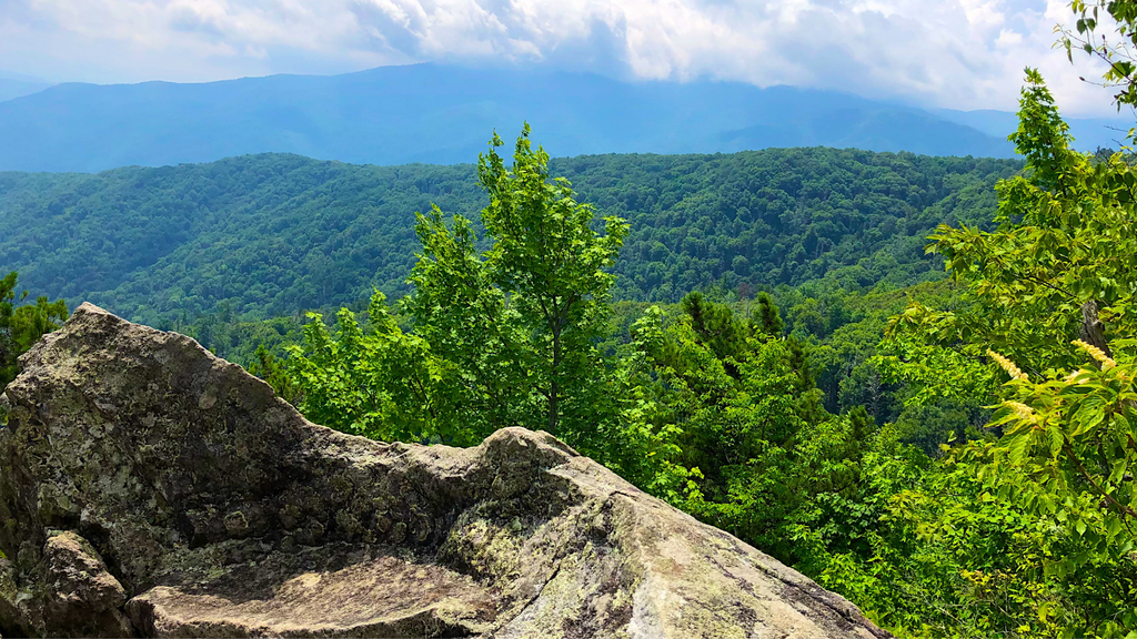 Breathtaking view of lush greenery and mountain ranges, showcasing the natural beauty and things to do in the Smoky Mountains.