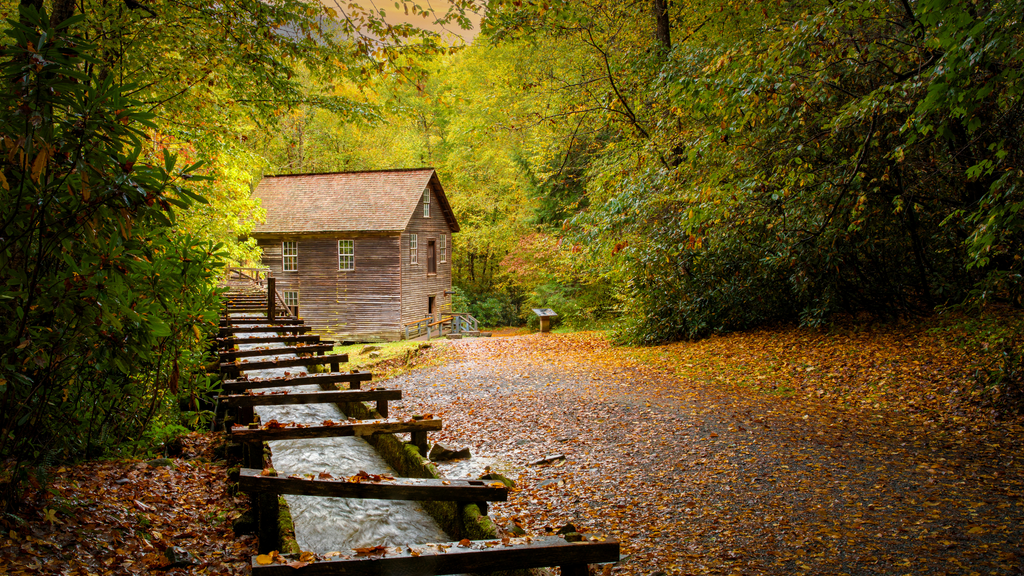 Historic Mingus Mill in the Smoky Mountains surrounded by autumn foliage, a captivating sight among the many things to do in the area