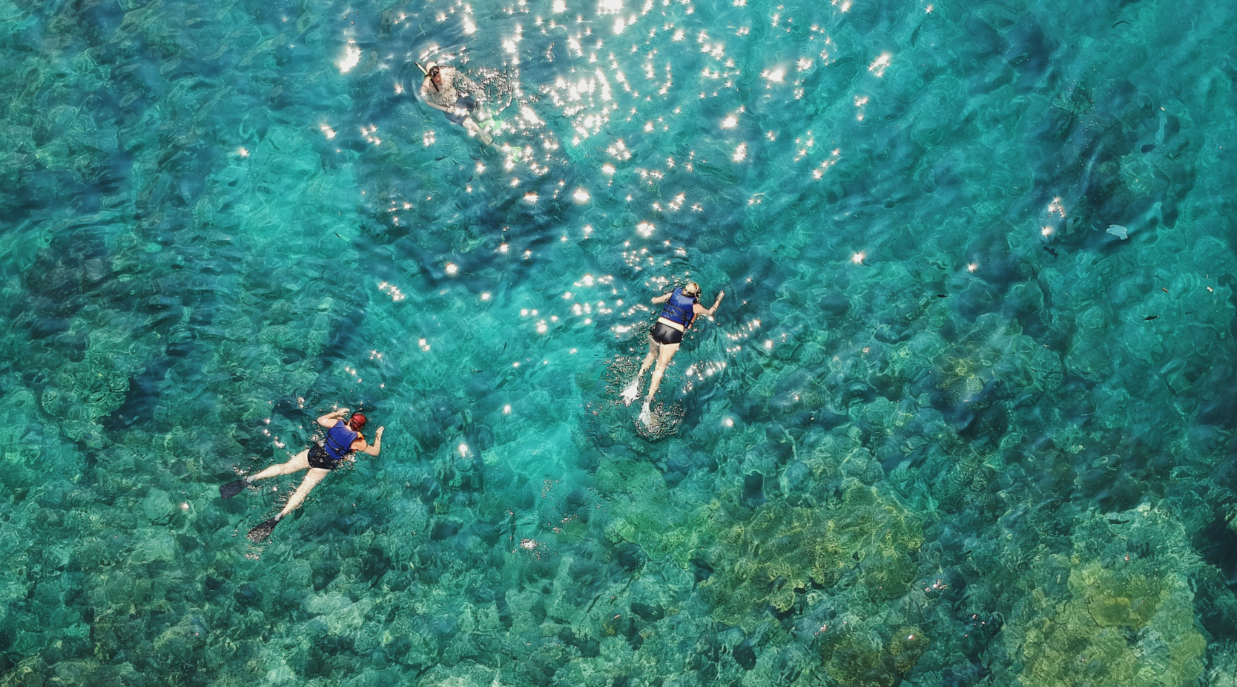 Aerial view of people swimming above a coral reef