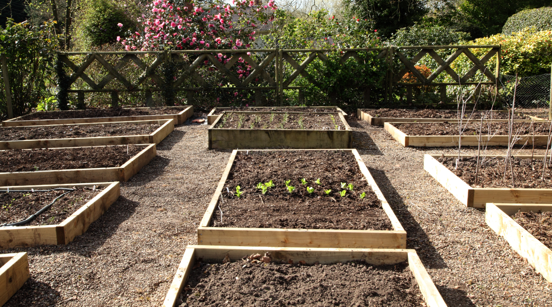 Raised garden beds