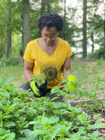 Gardening wearing sunflower shirt