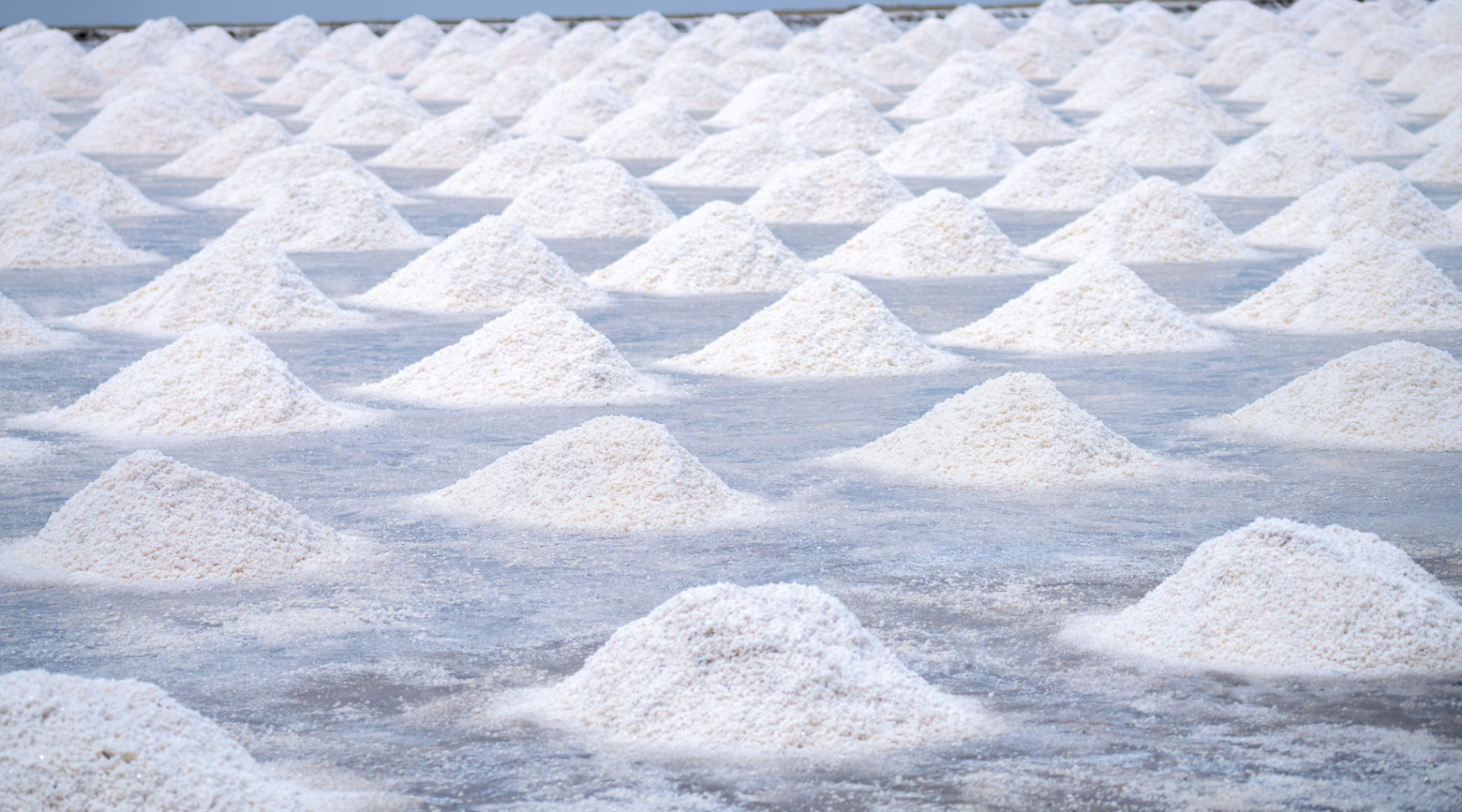 Piles of salt from the ocean