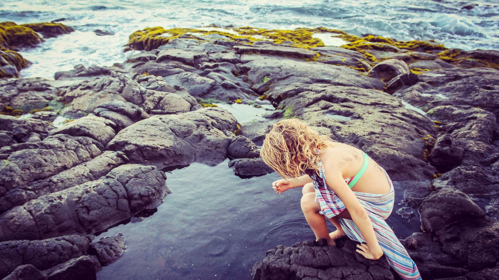 Rocky coastline with tide pools and waves crashing against the shore, showcasing the dynamic ecosystem of tide pools