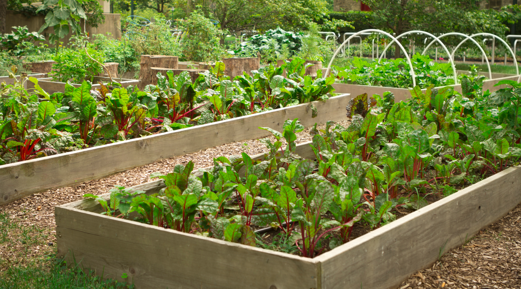 Urban community garden