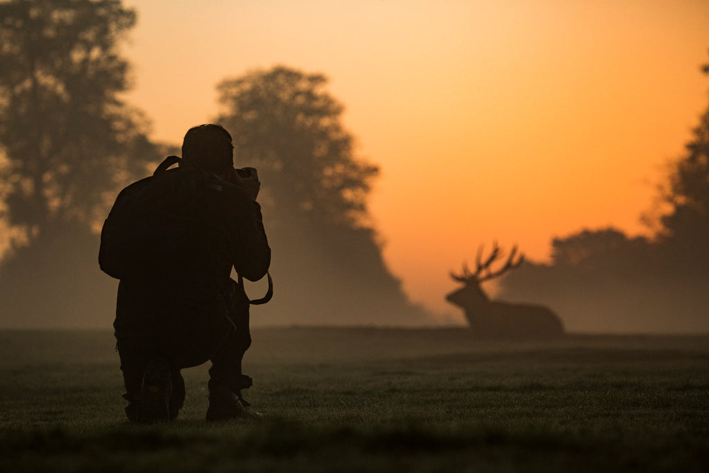 Wildlife photographer capturing a deer at dawn in misty field