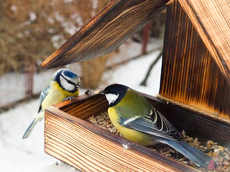 Birds at a feeder demonstrating how to help endangered species through backyard conservation.