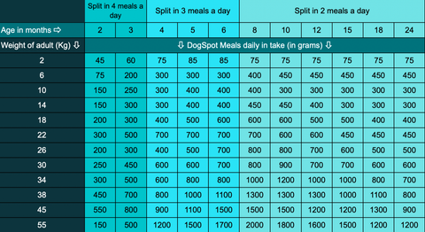 Feeding Guideline