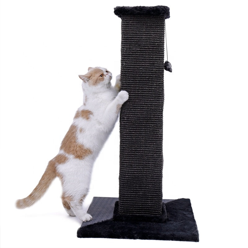 black cat scratching post