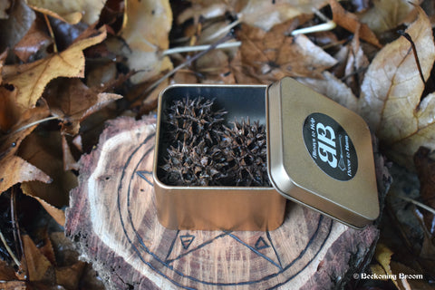 Three witches burrs in a tin box resting on a piece of wood with a pentagram on it nestled on a bed of leaves.