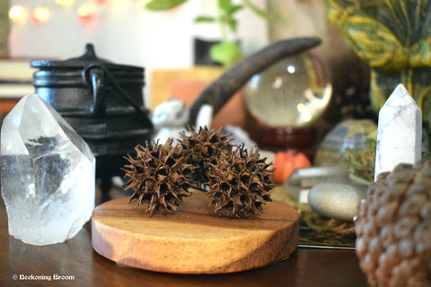 Three witches burrs resting on an altar with crystals, pine cones and other magickal items.