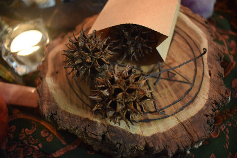 Three witches burrs resting on a piece of wood with a pentagram on an altar.