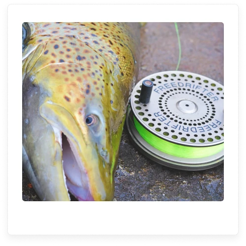 Sea Flee Flicker Mono Fishing Line Blood Run Fishing