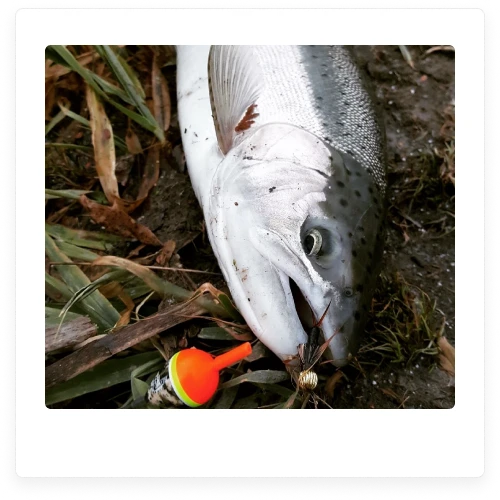 Steelhead Salmon Centerpin Balsa Fishing Floats from Blood Run Fishing