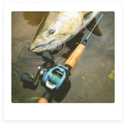 Baitcaster Float Rod