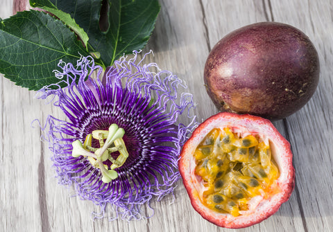 Flor y fruta de maracuyá