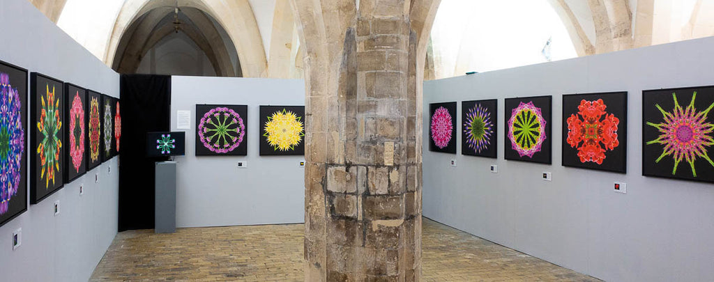 Botanical Opticals exhibition by Tim Platt photographed in the Crypt Gallery, Norwich.