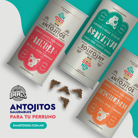 Snacks saludables para perros, premios suaves o antojitos naturales para perros. Un dos treats