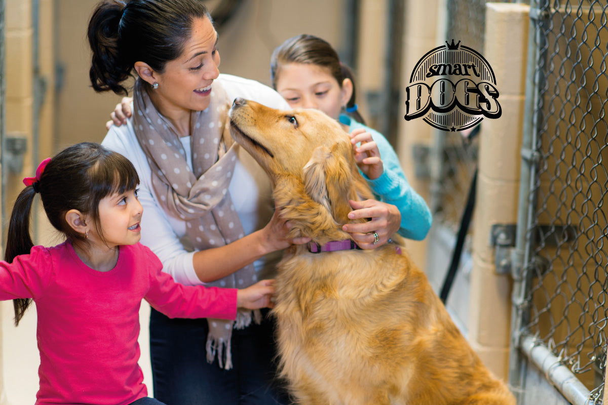 Familia pet friendly, personas que aman y respetan los perros. 21 de julio, Día Mundial del Perro.