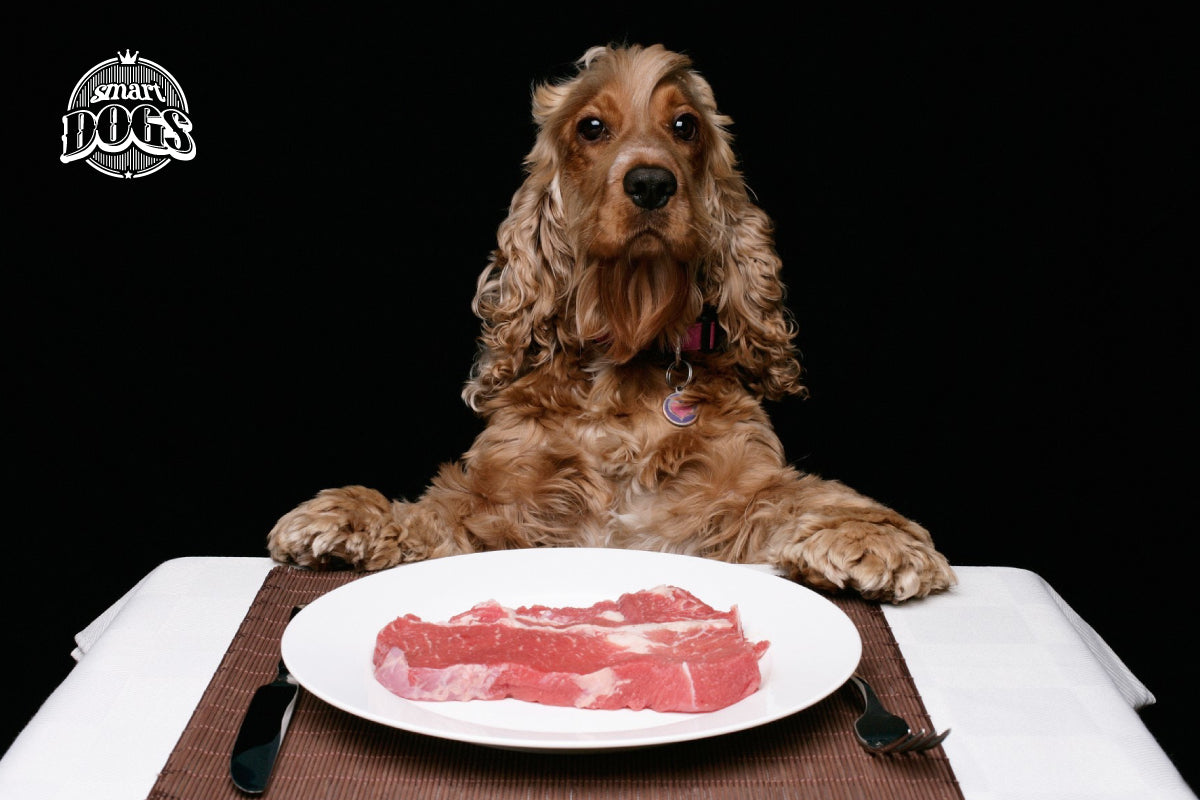 La dieta BARF tiene grandes beneficios en la salud y aspecto físico de tu perro