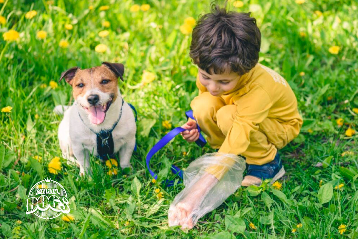 Niño levantando los excrementos de su perro