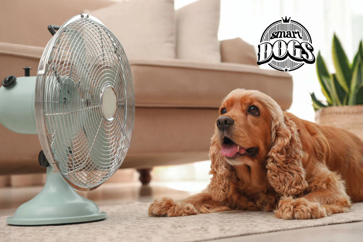 Perro refrescándose frente a un ventilador