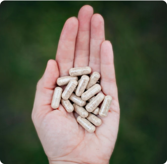 A hand holding several brown capsules against a blurred green background.