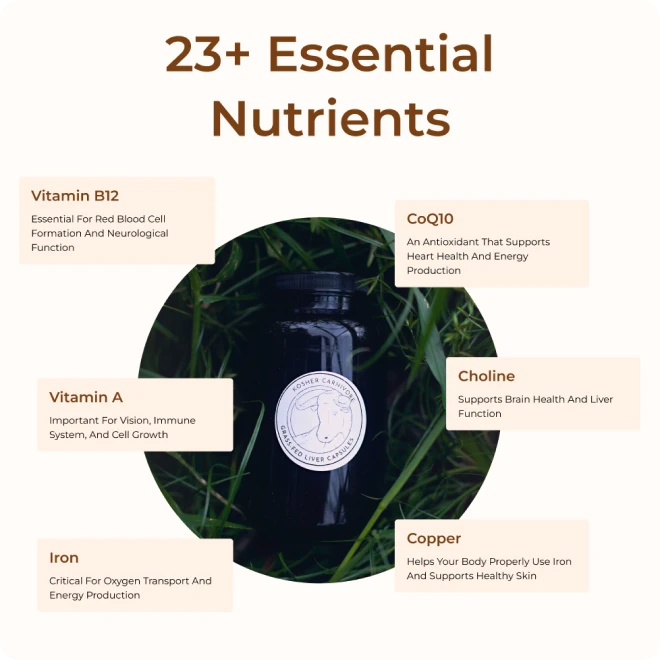 Bottle surrounded by grass, showcasing essential nutrients like Vitamin A, B12, Iron, and Copper.
