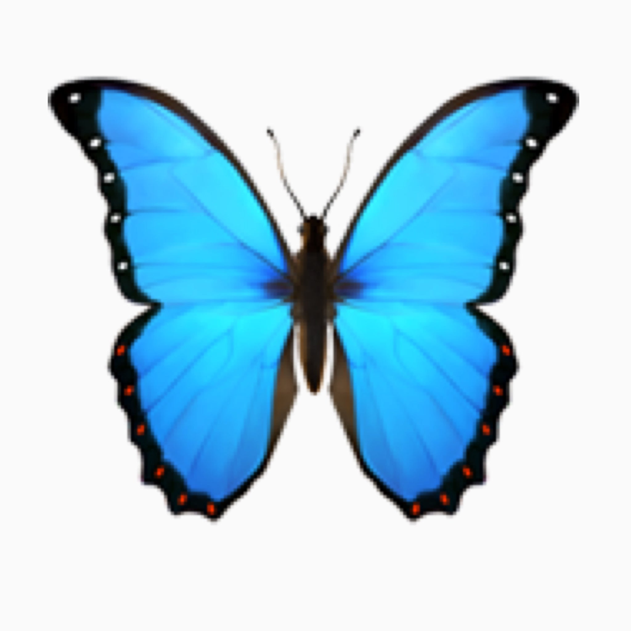 Синяя бабочка смайлик