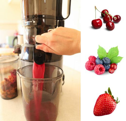 fruit juicer