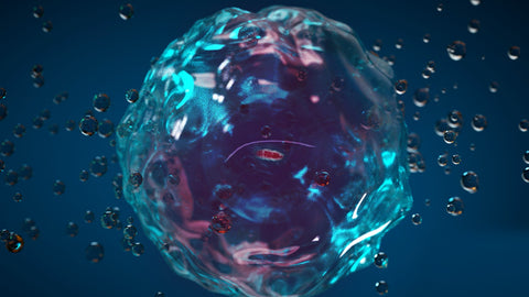 An animation of a blueish, jagged sphere, depicting reduced resilience as part of the aging process.