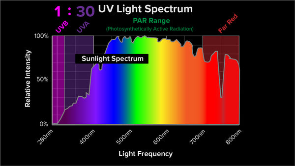 UV is in the suns spectrum