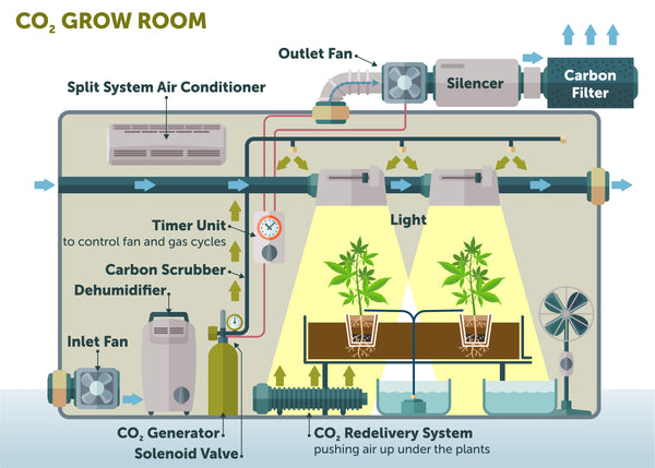 Um eine sehr hohe PAR-Intensität nutzen zu können, ist ein CO2-dichter Anbauraum erforderlich.