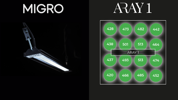ARAY 1 seedling grow light for small grows