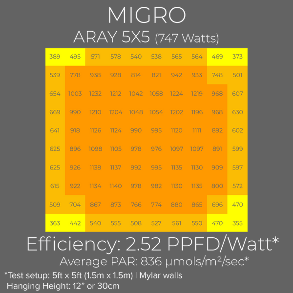 ARAY 5X5 PAR-Diagramm