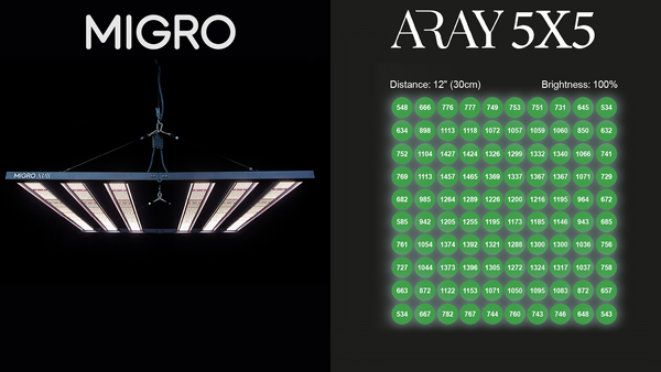 The best grow light for a 5ft x 5ft or 1.5m x 1.5m grow tent