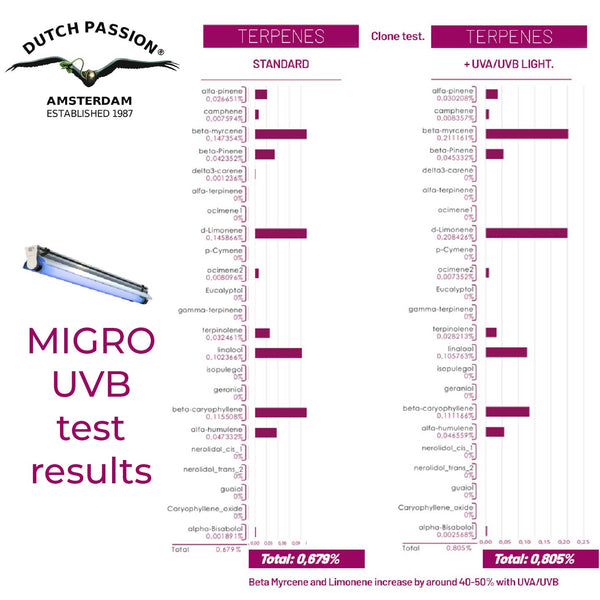 MIGRO UVB offre une augmentation de 19 % des terpènes dans le test Dutch Passion