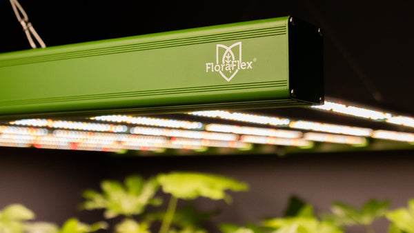 Floraflex 650W 8 bar led grow light review
