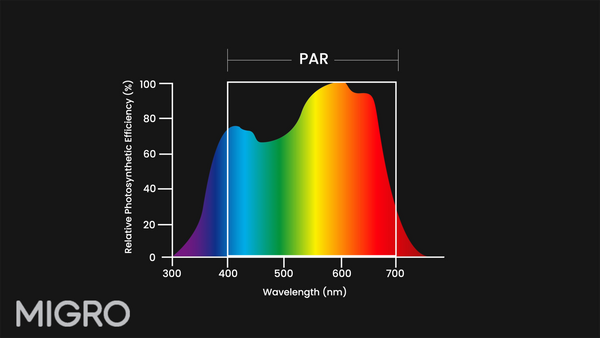 Mcree Curve relative photosynthetic response of plants to wavelengths of light