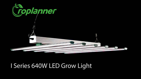 Groplanner 640 watt LED grow light review