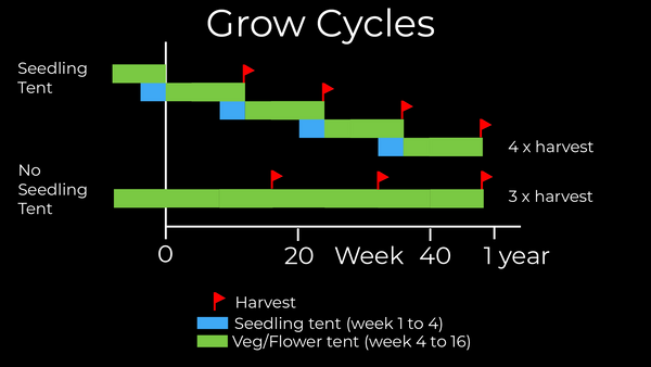 Une tente de semis ou de clone réduira votre temps de récolte