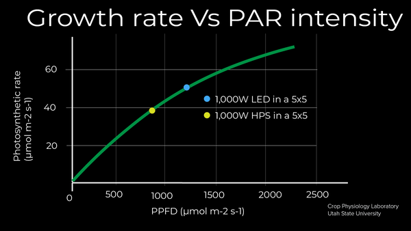 higher PAR intensity for higher yields