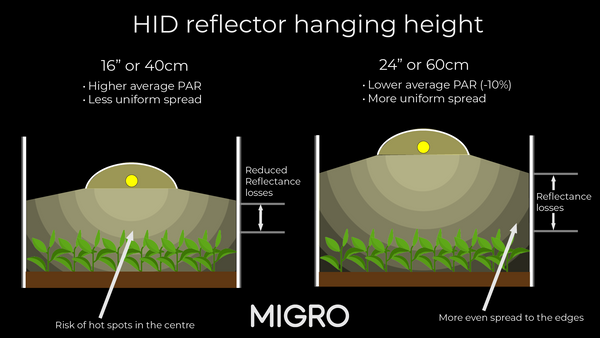 Abstand zwischen der Lampe und dem Pflanzendach für HPS-Wachstumslampen