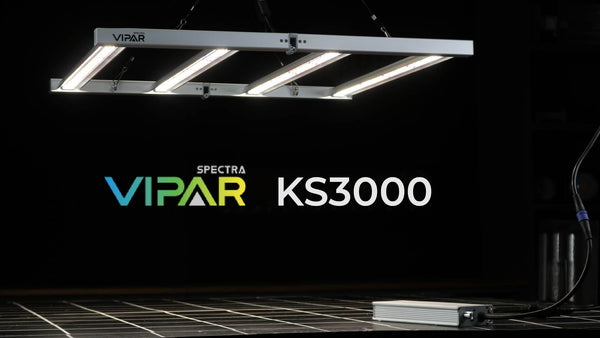 Viparspectra KS3000 LED grow light review