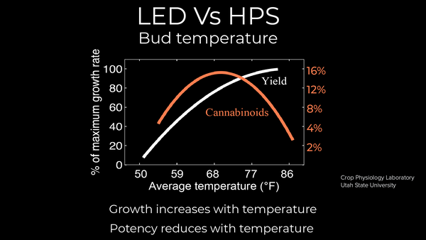 LED vs. HPS-Knospentemperatur
