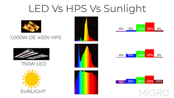 LED spectrum is bets for healthy plant growth