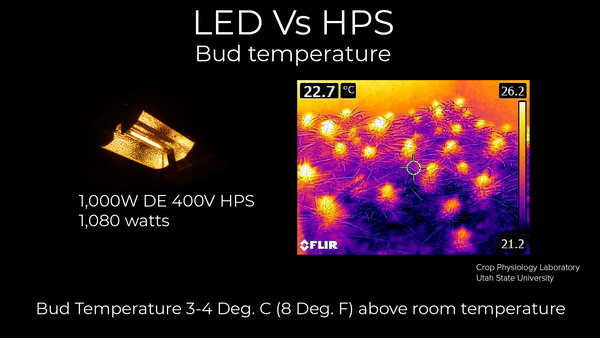 HPS gibt viel Strahlungswärme ab. Dies erhöht die Knospentemperaturen und verringert die Erntequalität